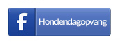 Like ons op facebook! afbeelding facebook de Best for dogs & horses